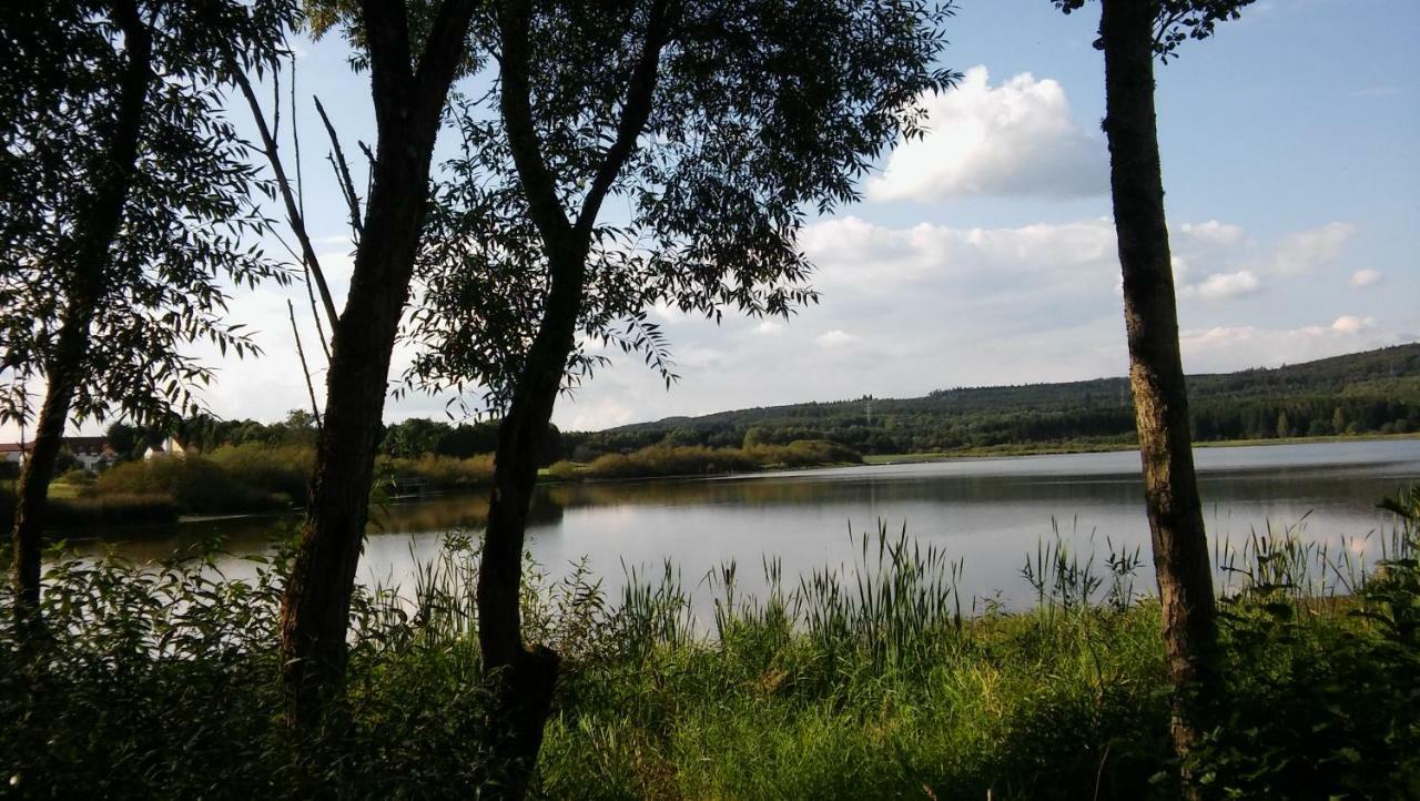 Ferienwohnung In Der Vulkaneifel ウルメン エクステリア 写真
