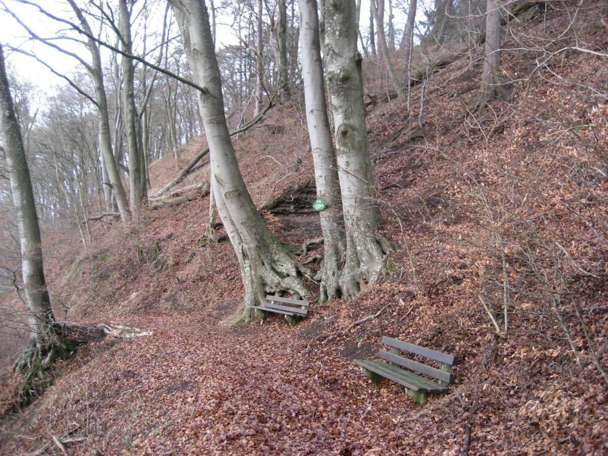 Ferienwohnung In Der Vulkaneifel ウルメン エクステリア 写真